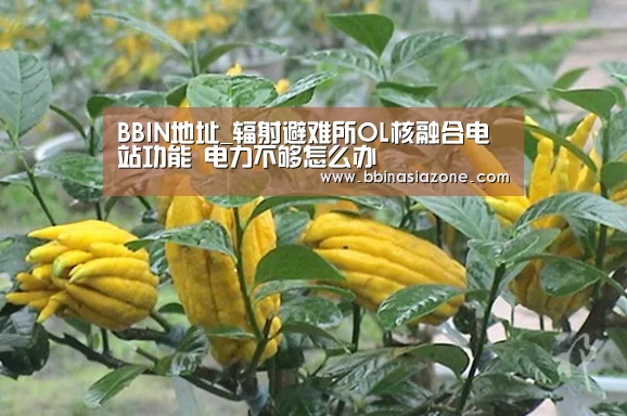 BBIN地址_辐射避难所OL核融合电站功能 电力不够怎么办(图3) BBIN篮球